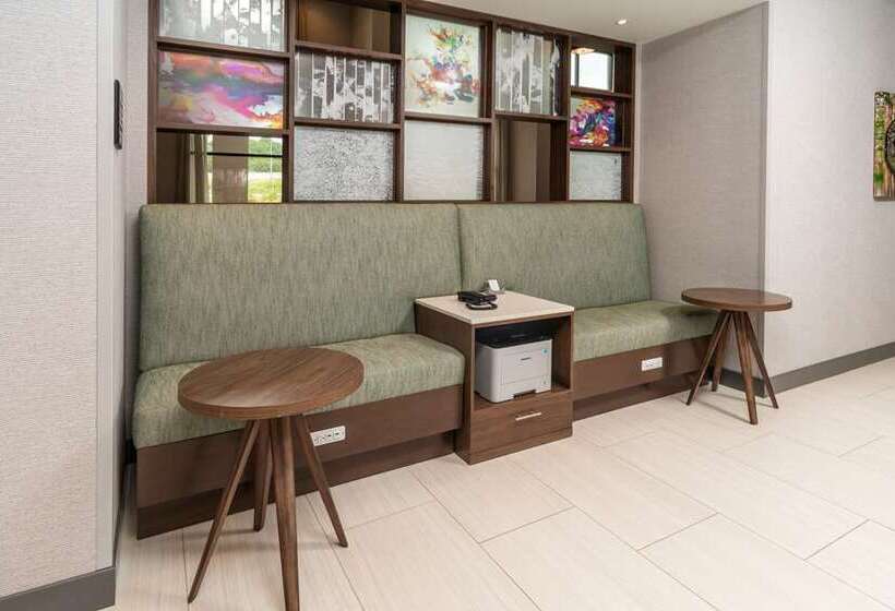 هتل Hampton Inn & Suites Conway