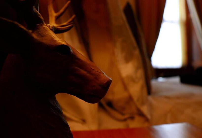 تختخواب و صبحانه Gowanlea Heights