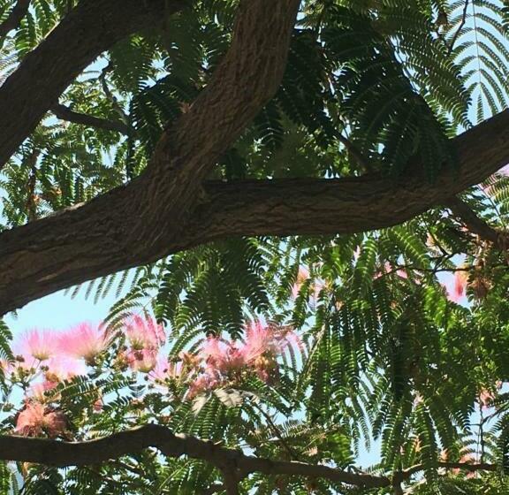 פנסיון La Bastide Des Cades