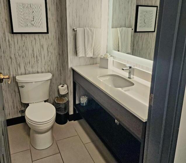 هتل Aiden By Best Western San Antonio Riverwalk