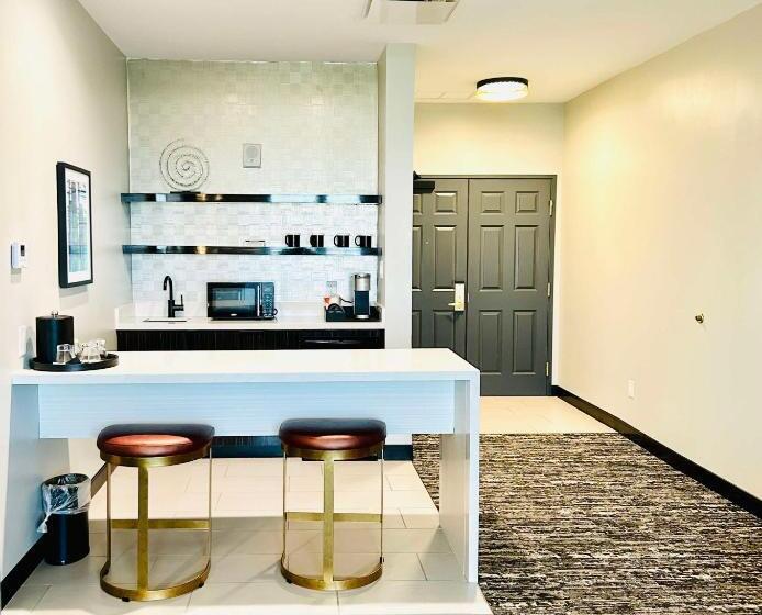 هتل Aiden By Best Western San Antonio Riverwalk