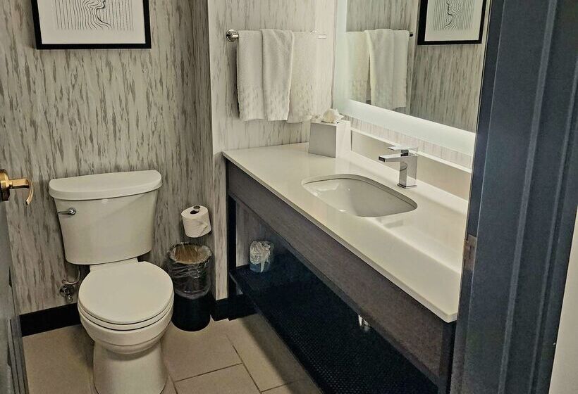 هتل Aiden By Best Western San Antonio Riverwalk