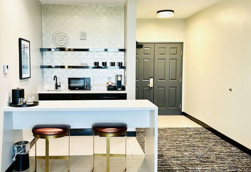 هتل Aiden By Best Western San Antonio Riverwalk