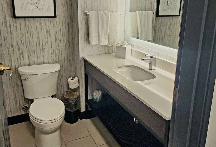 هتل Aiden By Best Western San Antonio Riverwalk