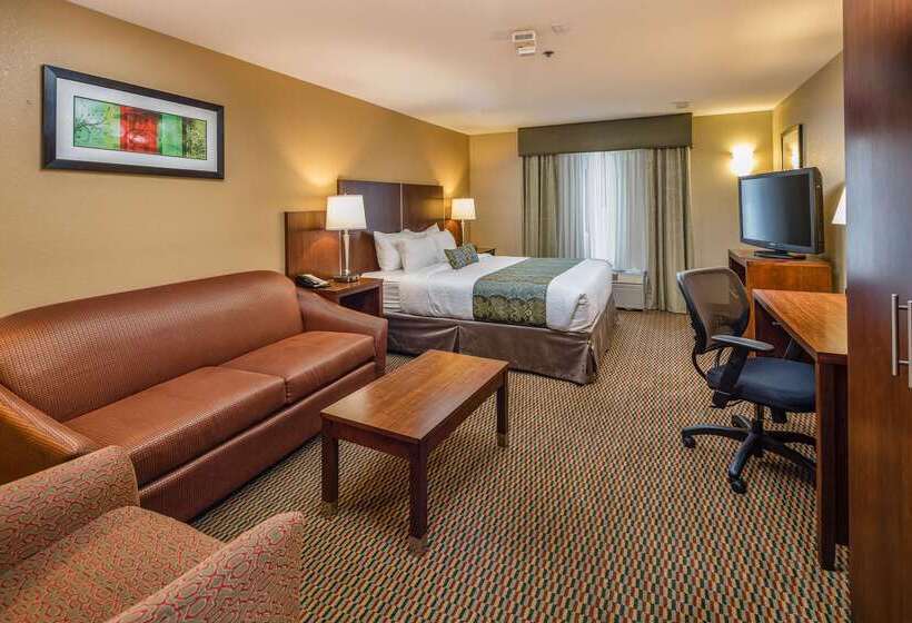 هتل Best Western Plus Airport Inn & Suites