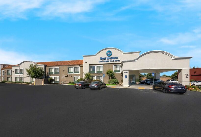 هتل Best Western Lanai Garden Inn & Suites