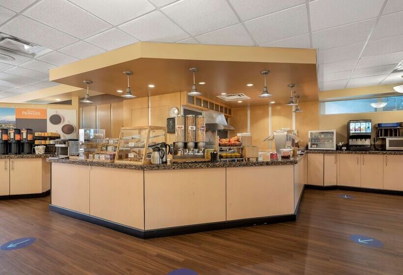 酒店 Best Western Plus Fernie Mountain Lodge