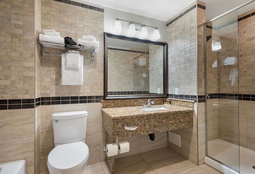 酒店 Best Western Plus Fernie Mountain Lodge