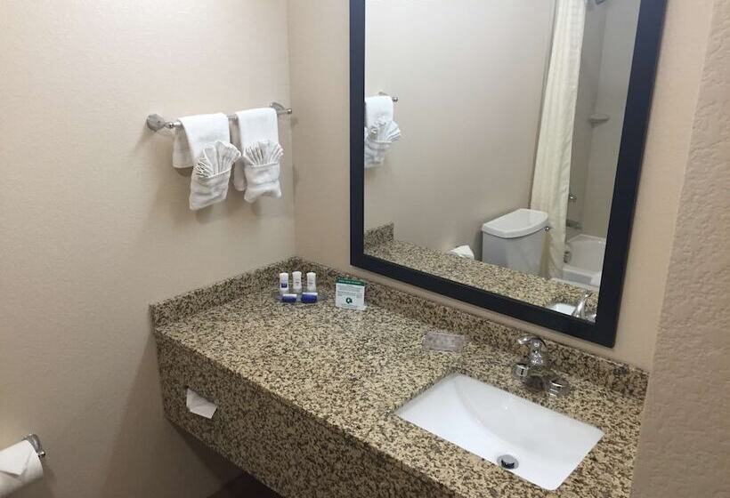 هتل Best Western Plus Gateway Inn & Suites   Aurora