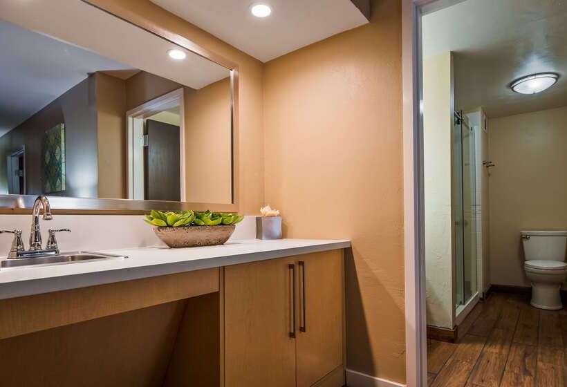 هتل Best Western Plus South Coast Inn