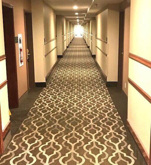 هتل Comfort Inn & Suites At I 74 And 155