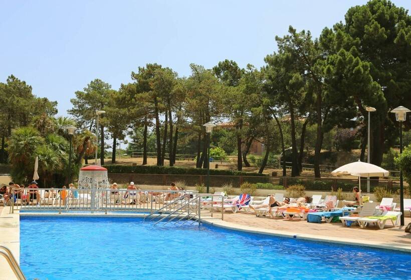 htop Royal Star htop Royal Star