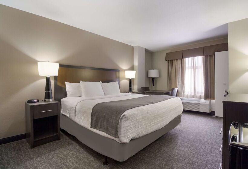 Surestay Plus Hotel By Best Western Houston Medical Center
