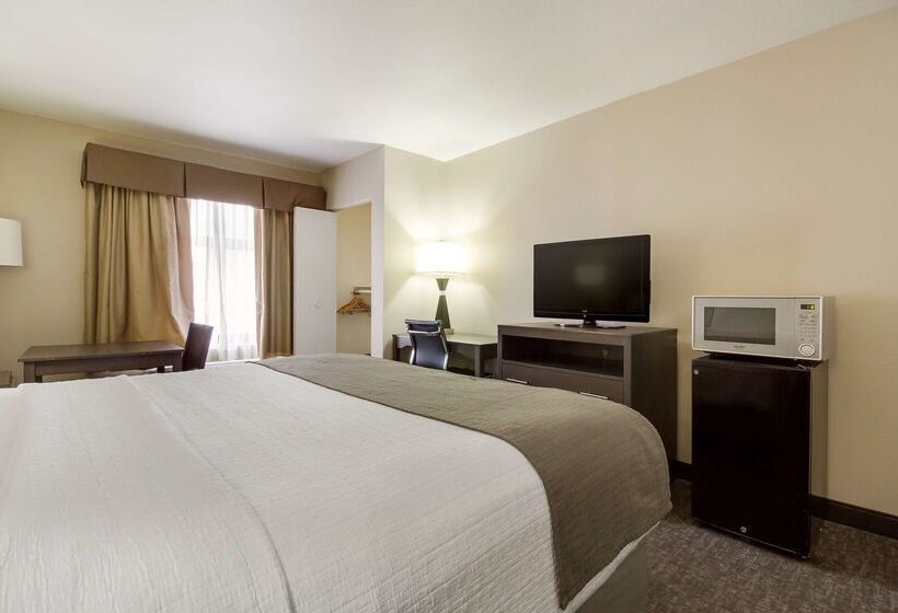 Surestay Plus Hotel By Best Western Houston Medical Center