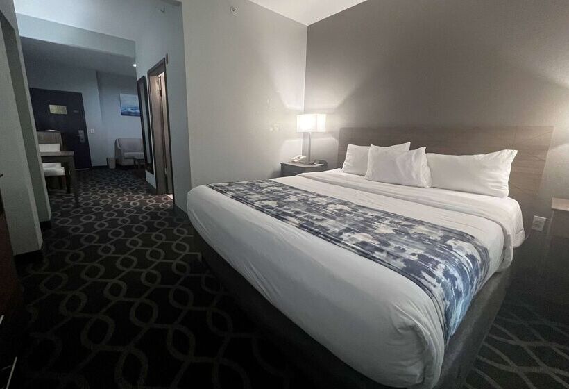 هتل Wingate By Wyndham Humble/houston Intercontinental Airport