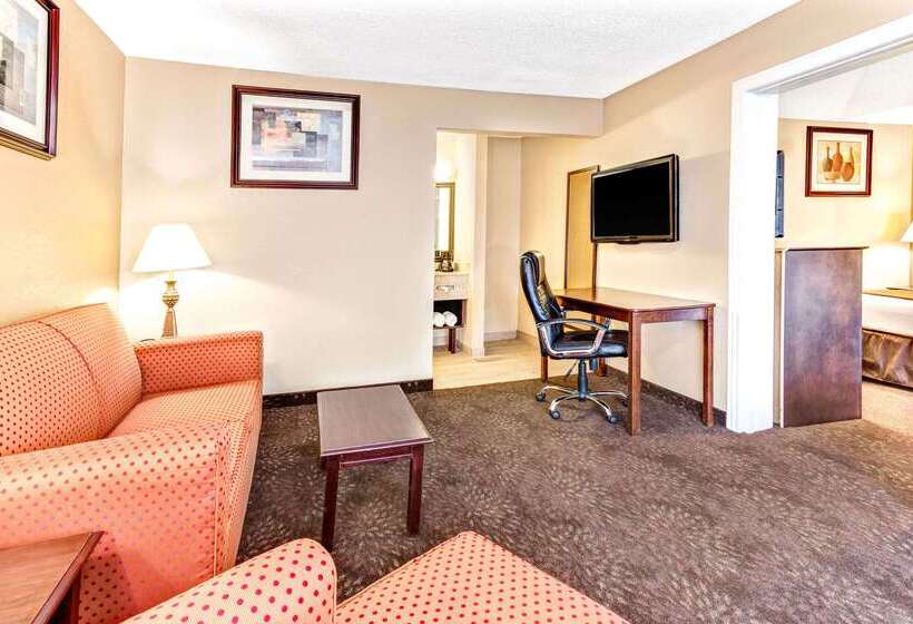 هتل Wyndham Garden Romulus Detroit Metro Airport