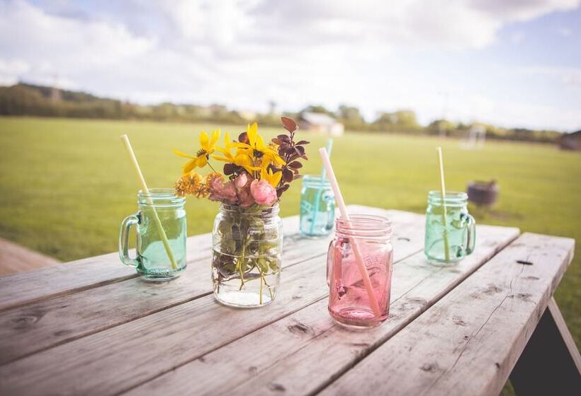 فندق Canvas & Clover