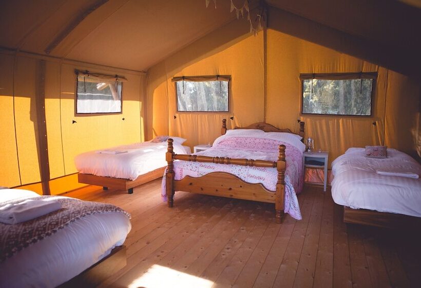 فندق Canvas & Clover