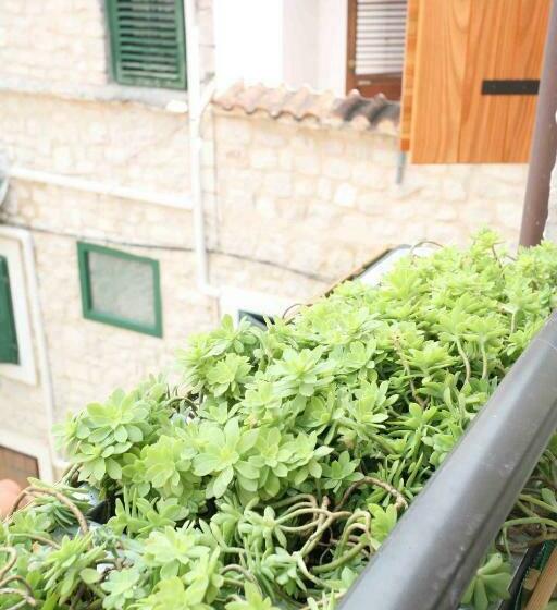 پانسیون Rooms Beljan