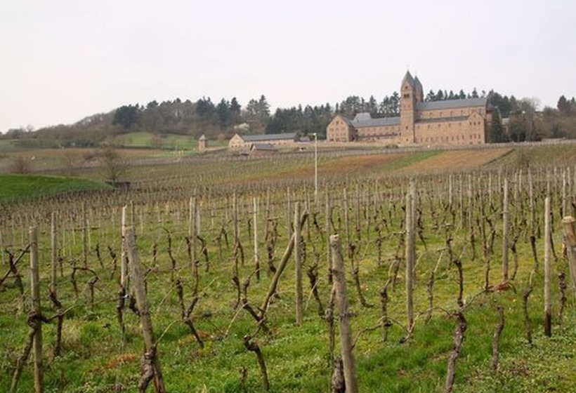 פנסיון Weingut Jacob Lill Iv. Nachfolger