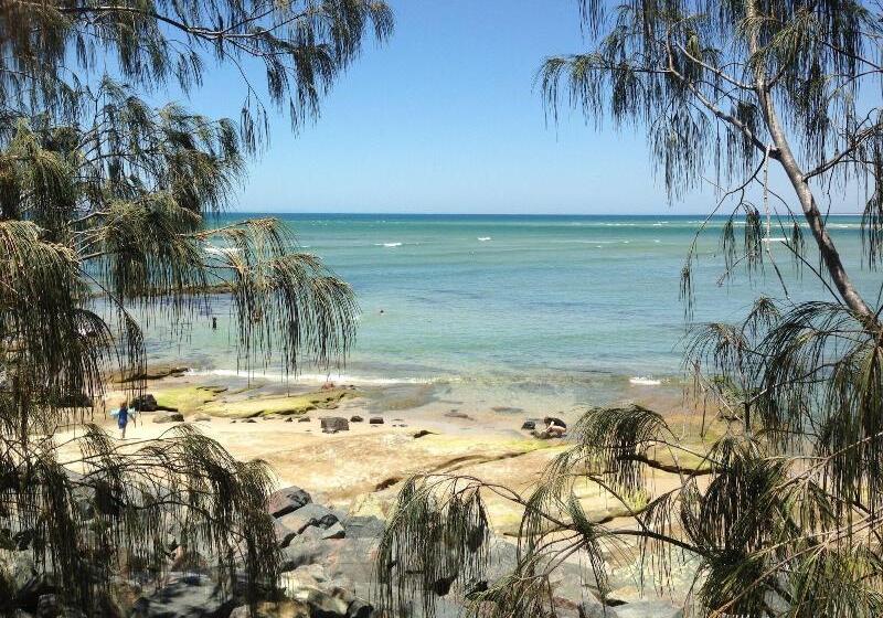 膳宿费 Xyl Pets Friendly Seaside Boutique Guesthouse