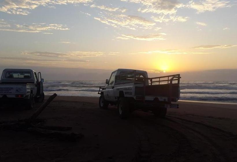 Bed and Breakfast Aliwal Dive Centre & Lodge