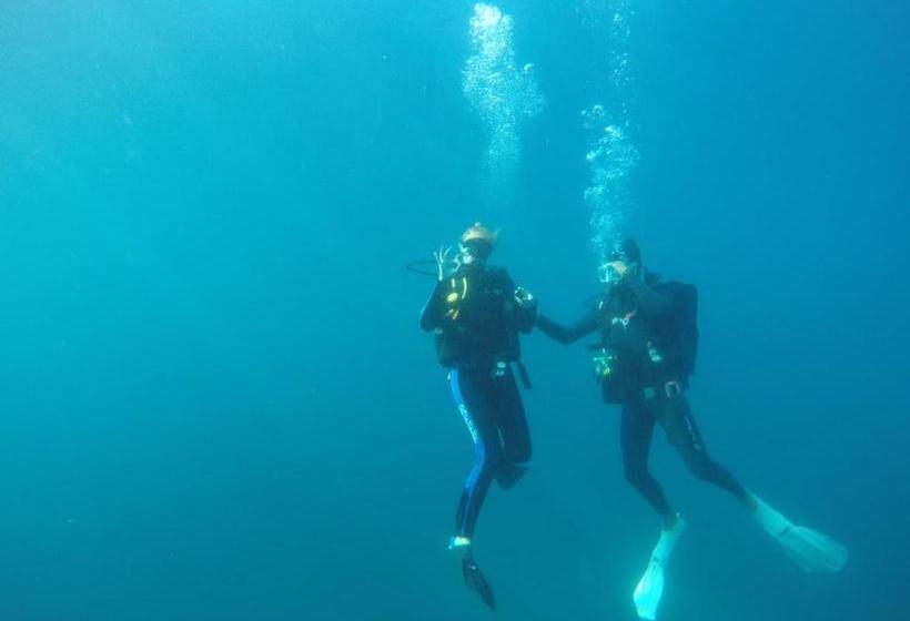 Bed and Breakfast Aliwal Dive Centre & Lodge
