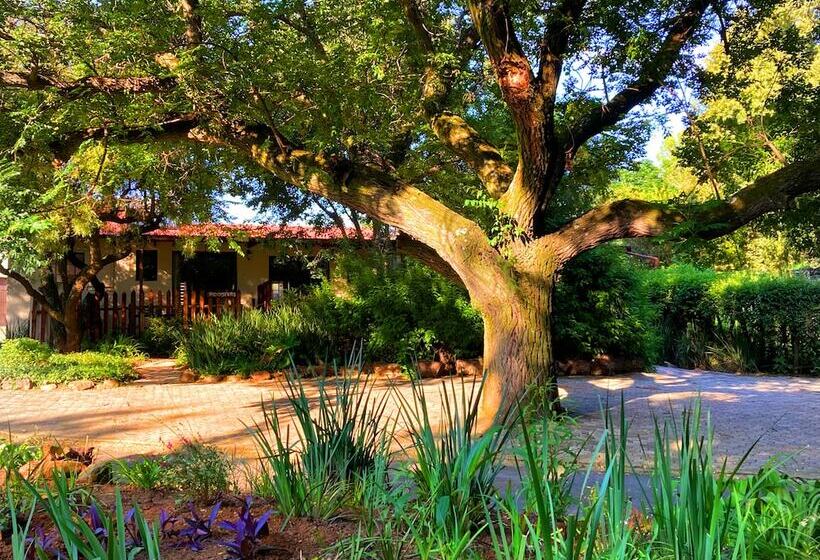 هتل Pine Valley Lodge