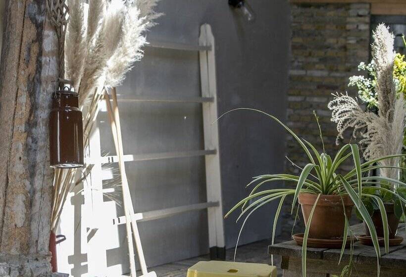 بنسيون Uitgerust Voor Zaken