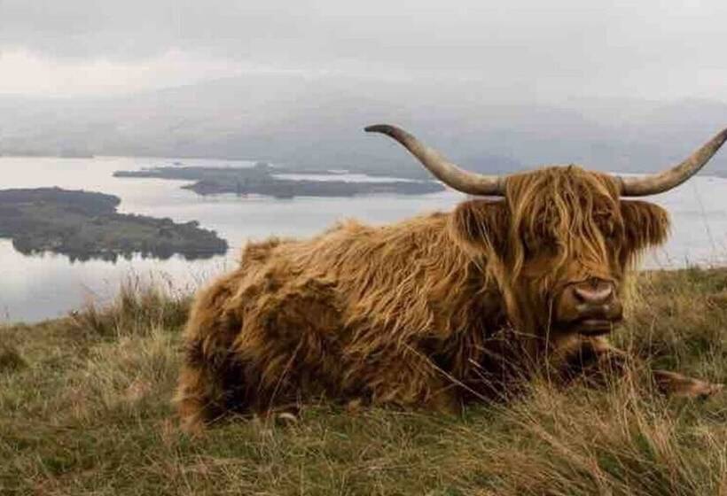 A Fairytale Thatched Highland Cottage