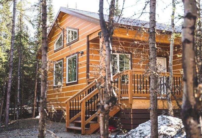 Denali Wild Stay