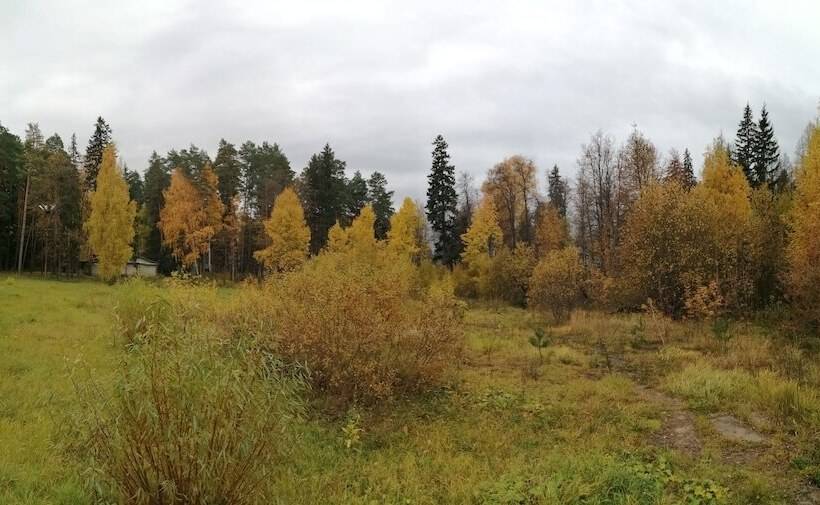 فندق Silent Forest   Campsite