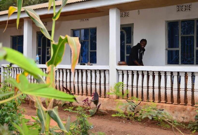 African Wagtail Hostel