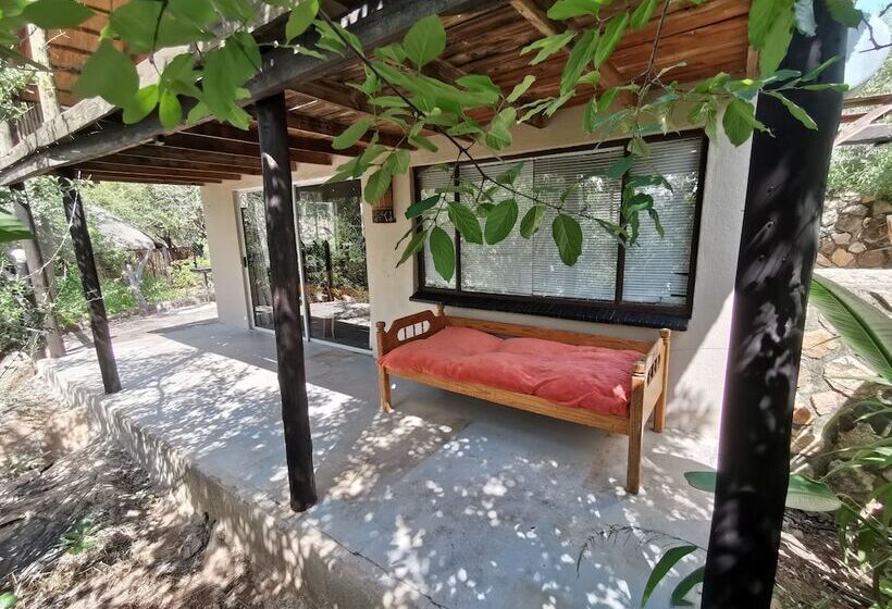 فندق Mali Mali Safari Lodge
