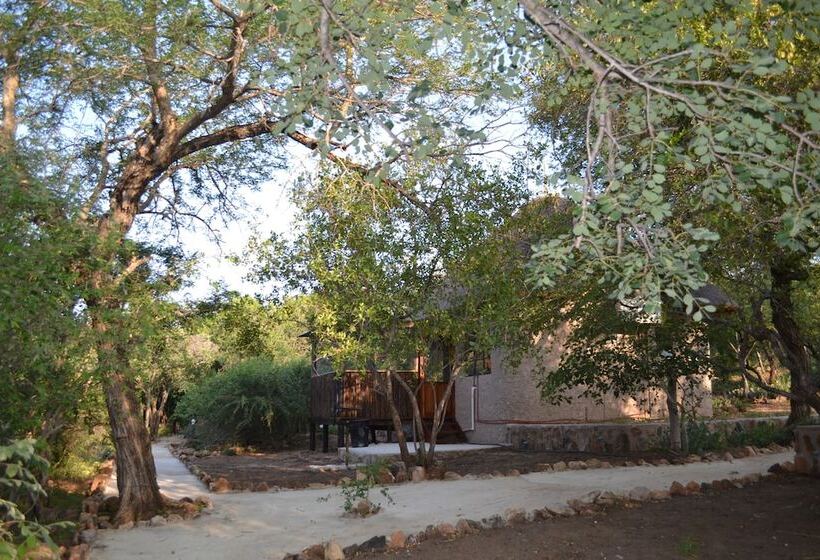 فندق Mali Mali Safari Lodge