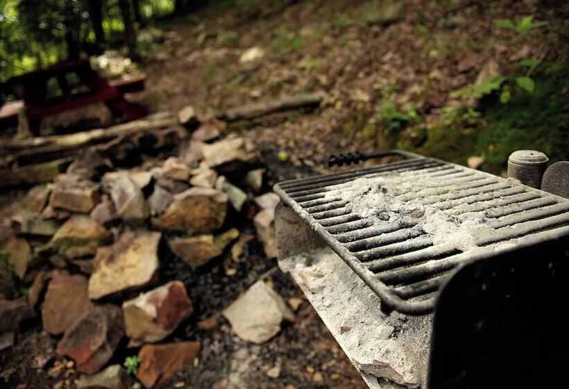 The Americana   Parker Creek Bend Cabins