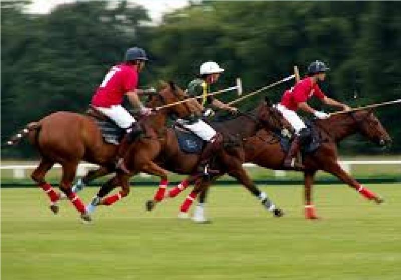 Отель Hurlingham Club