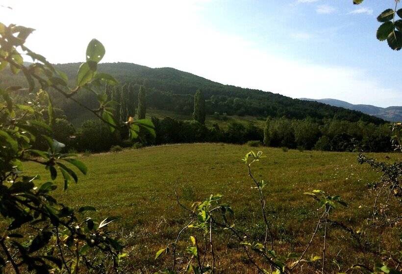 بنسيون Casa Elita