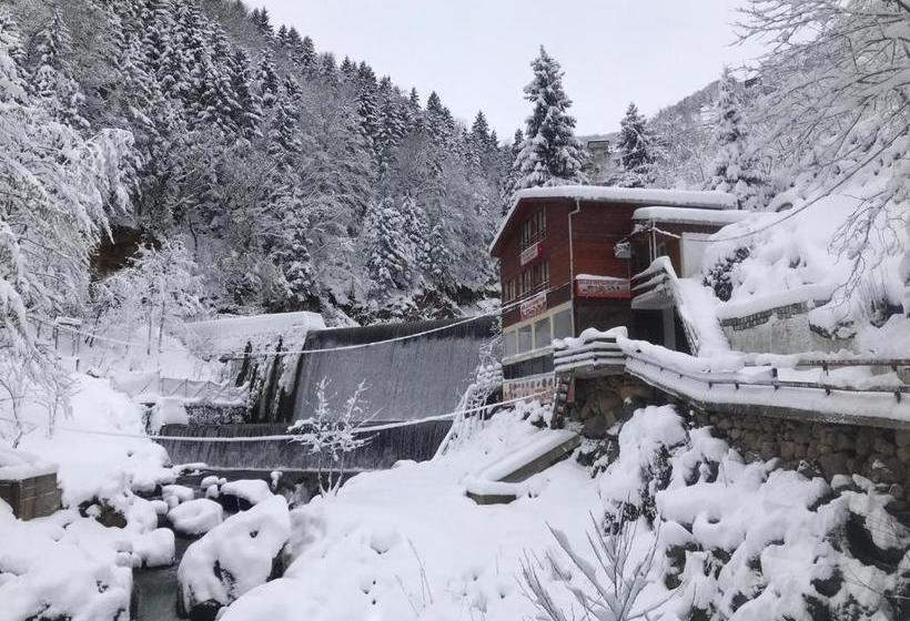 تختخواب و صبحانه şelale Apart