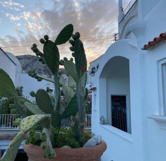 تختخواب و صبحانه Suites Edivino Design Capri