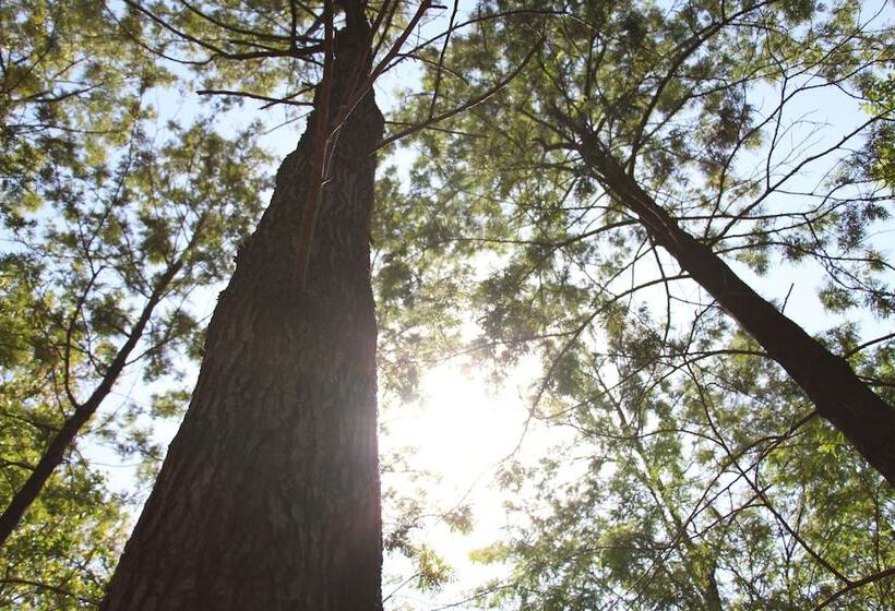 בית מלון כפרי Punarnava Resort & Spa