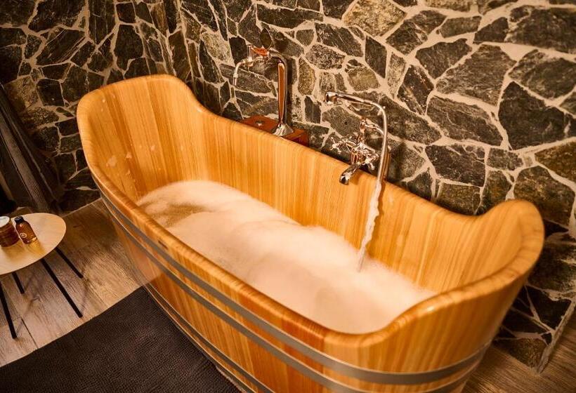 پانسیون Dům U Lázní