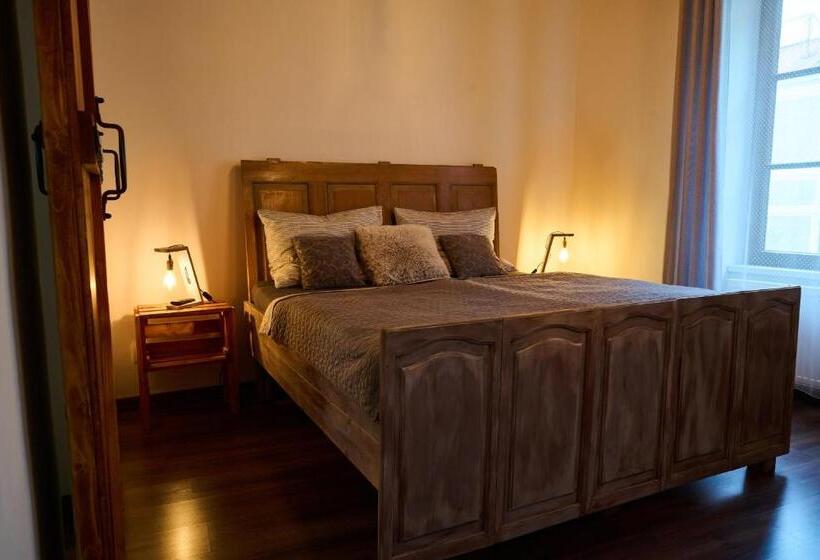 پانسیون Dům U Lázní