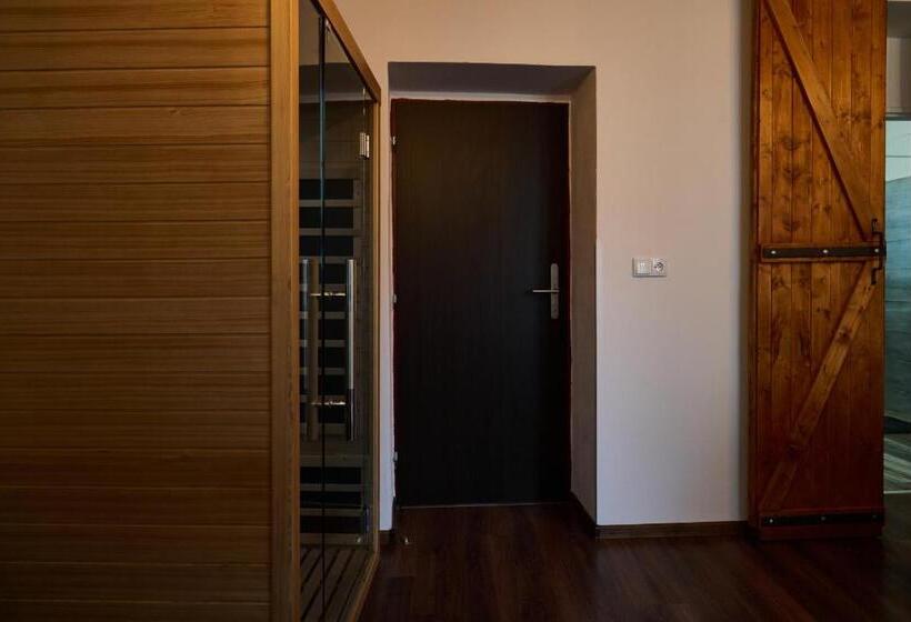 پانسیون Dům U Lázní