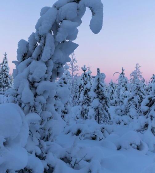 استراحتگاه Old Pine Husky Lodge