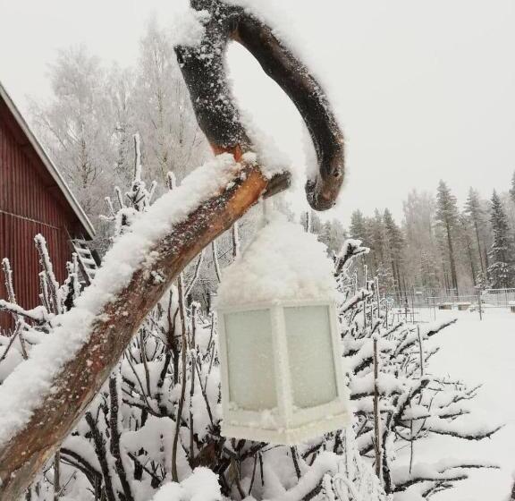 استراحتگاه Old Pine Husky Lodge