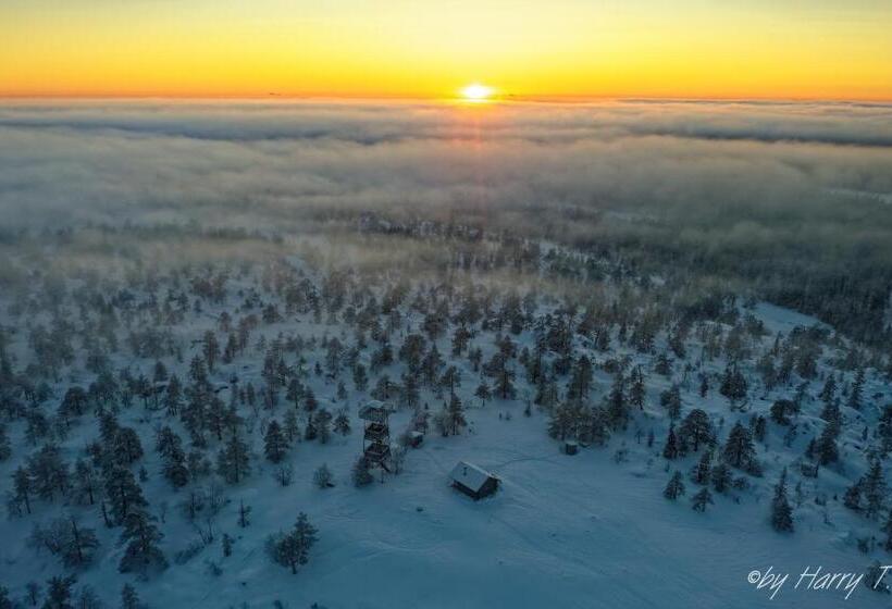 استراحتگاه Old Pine Husky Lodge