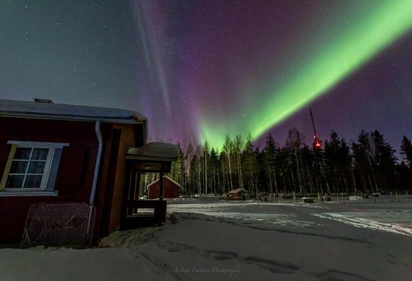 استراحتگاه Old Pine Husky Lodge