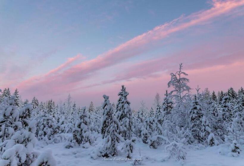 استراحتگاه Old Pine Husky Lodge