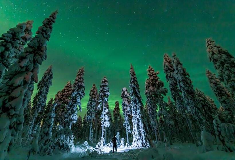 استراحتگاه Old Pine Husky Lodge